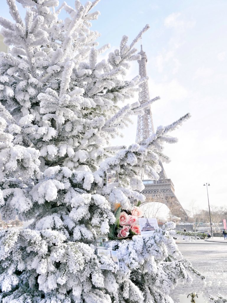 Natale a Parigi, tour eiffel, xmas in paris, noel a Paris, Christmas in Paris, paris travel, xmas tree, parigi, impastastorie, impastastorie bistrot
