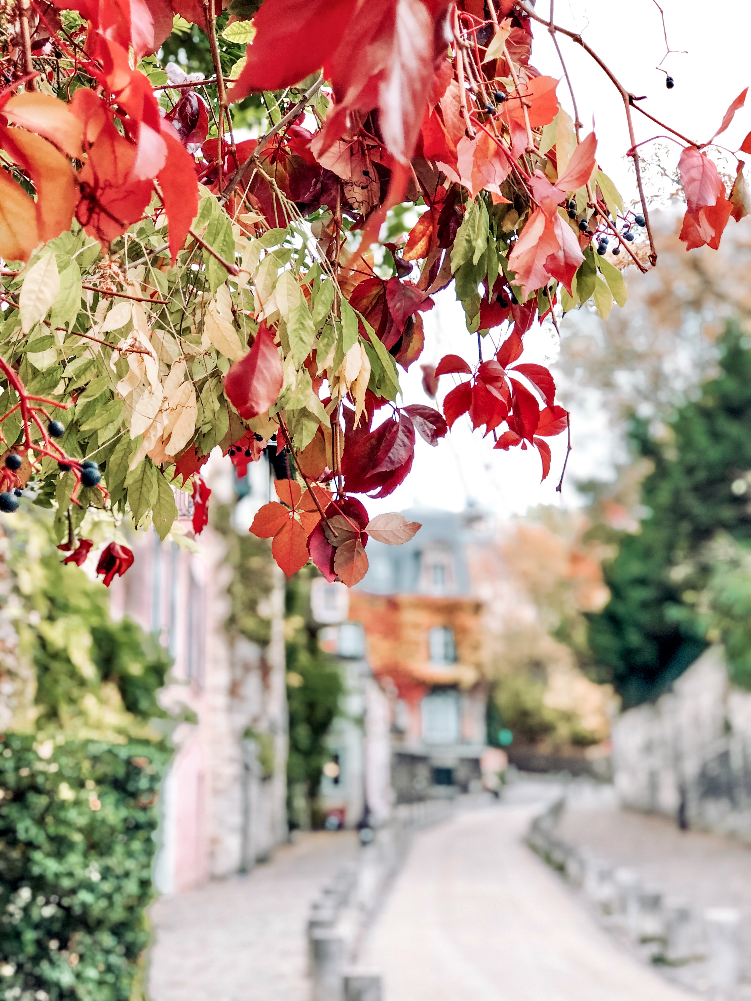 Parigi in autunno, jardin de luxembourg, Impastastorie, impastastorie bistrot, autumn in paris, Montmartre